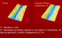 resultados