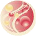 POlicrom con micropartículas